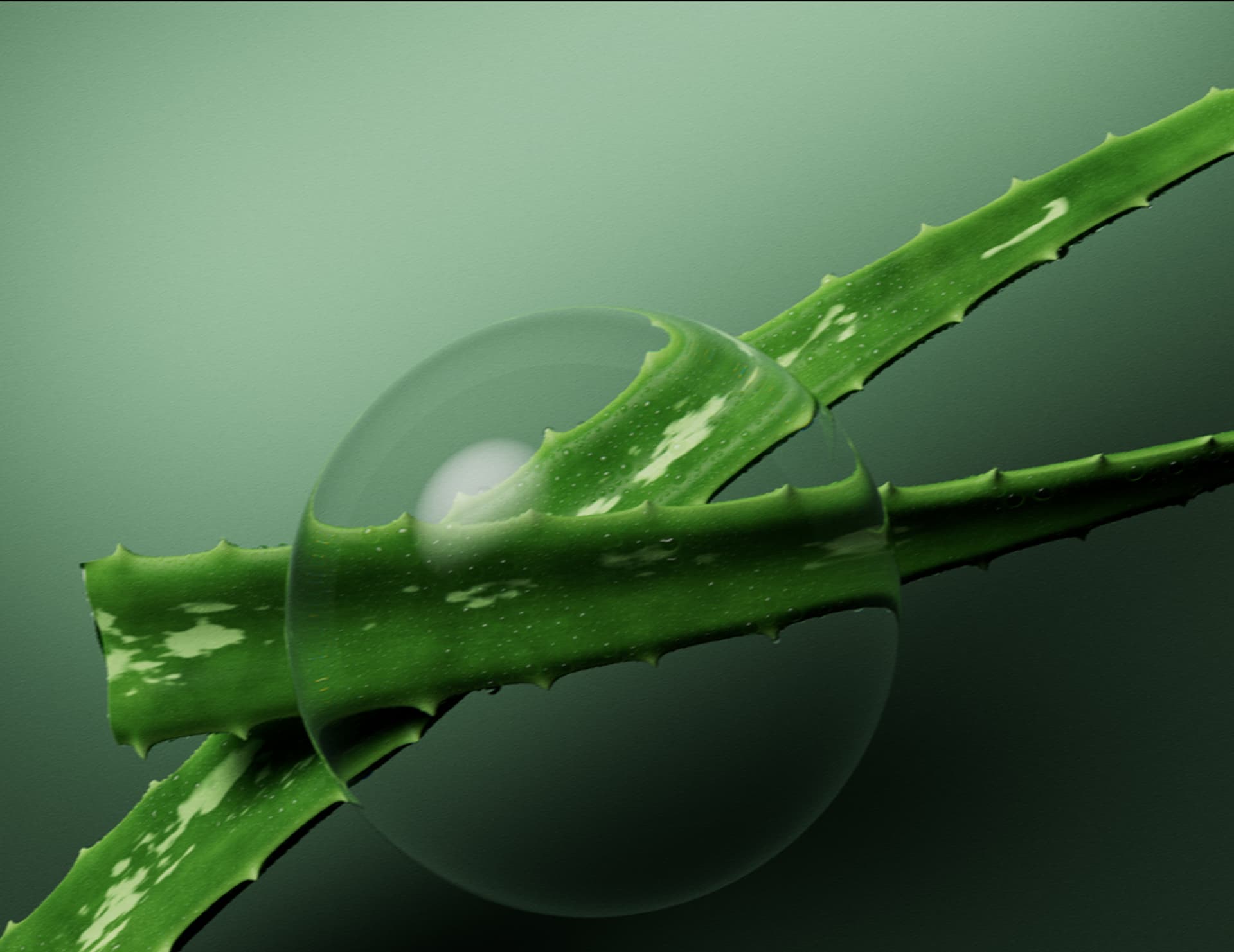 Профессиональный кондиционер Biolage Hydra Source для сухих и ломких волос, 236 мл. фото 5 Профессиональный кондиционер Biolage Hydra Source для сухих и ломких волос, 236 мл. фото 5