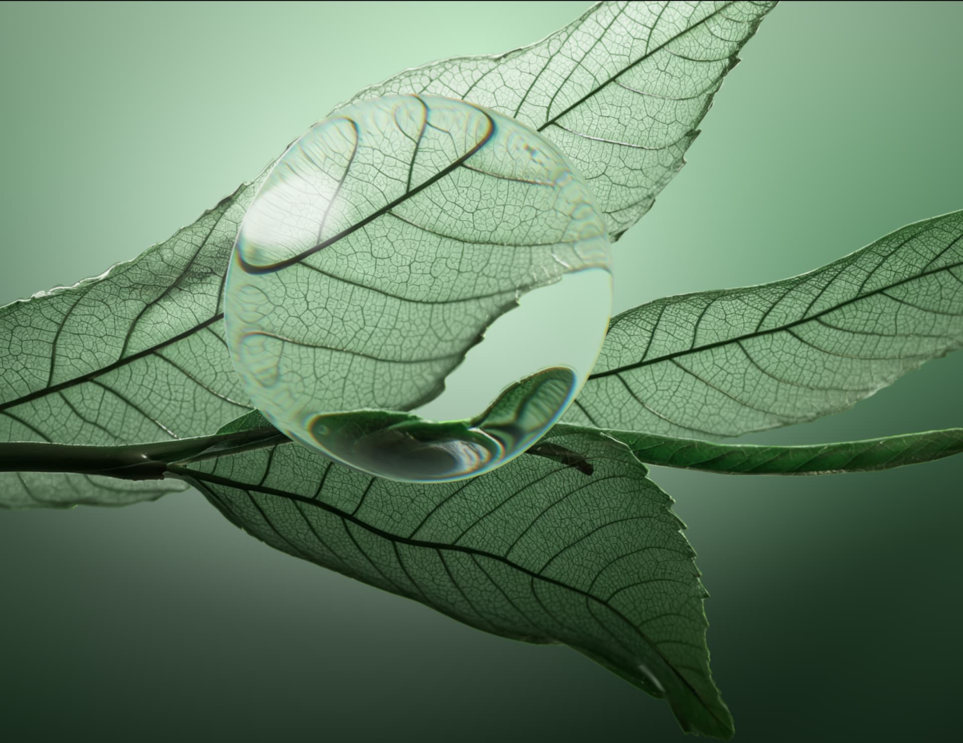 Универсальный кондиционер Scalp Sync, 236 мл фото 5 Универсальный кондиционер Scalp Sync, 236 мл фото 5